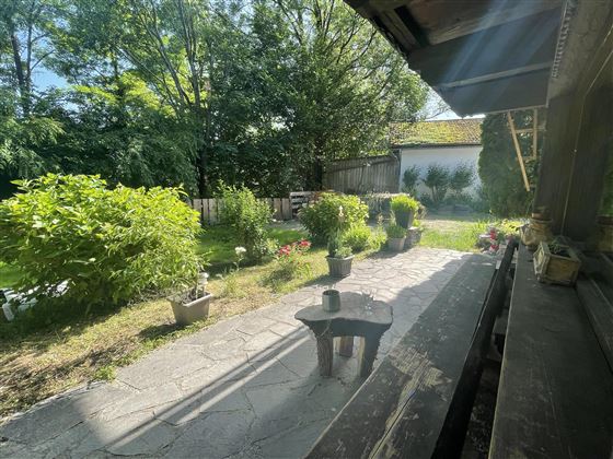 Blick in den Garten