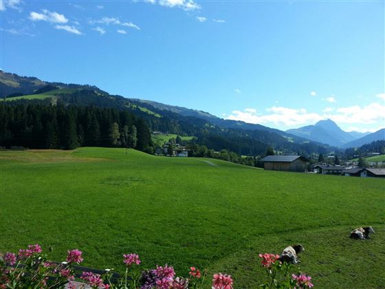 Blick Maierl/Penglstein/Retteinstein