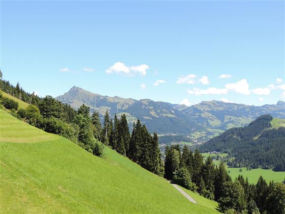 Blick nach Osten