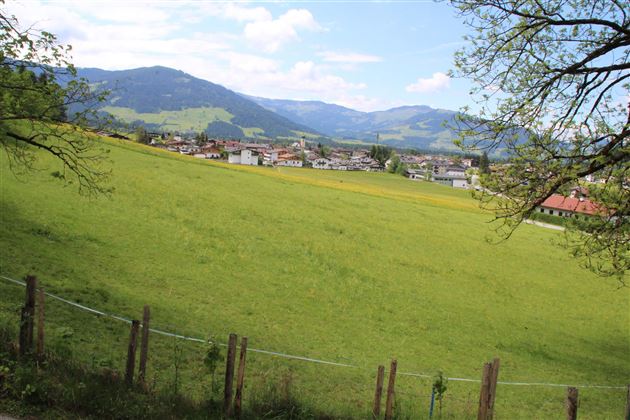 Blick Sommer