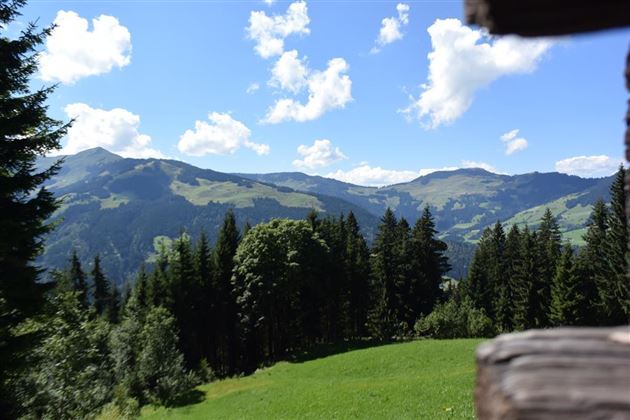 Blick vom Balkon