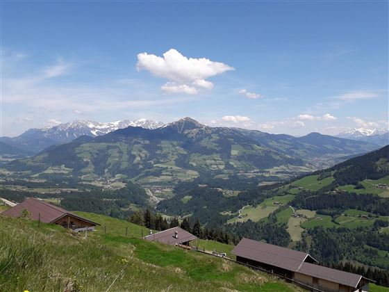 Blick von der Haag Alm auf die Hohe Salve