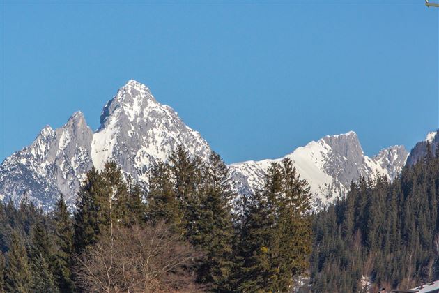 Blick Wilder Kaiser Ambiento Tirol Apartment Ferie