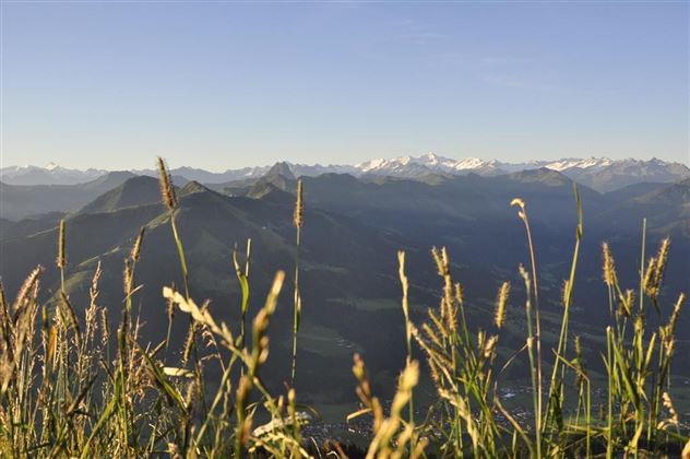 Blick zu den Hohen Tauern