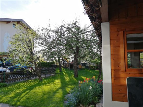 Blick zum Hasenstall
