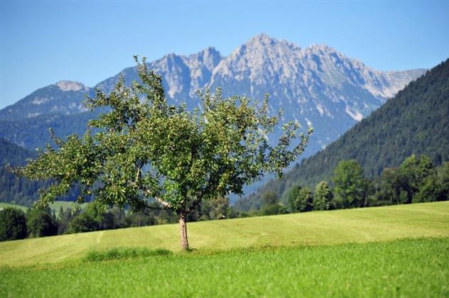 Blick zum Kaisergebirge