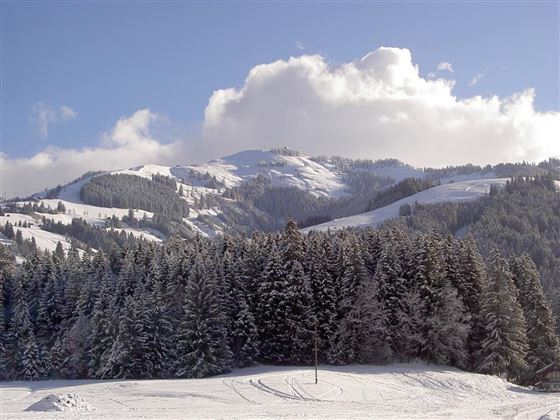 Blick zur Ehrenbachhöhe