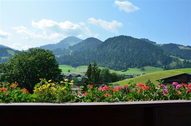 Blumen am Balkon