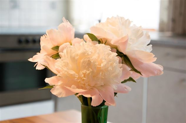 Blumendeco