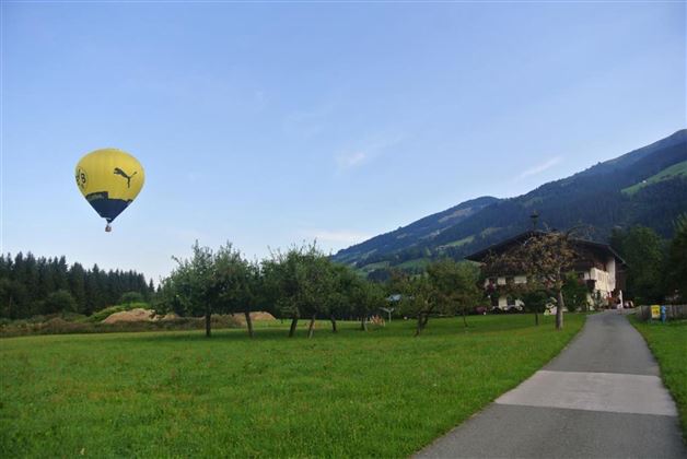 BVB bei uns am Hof