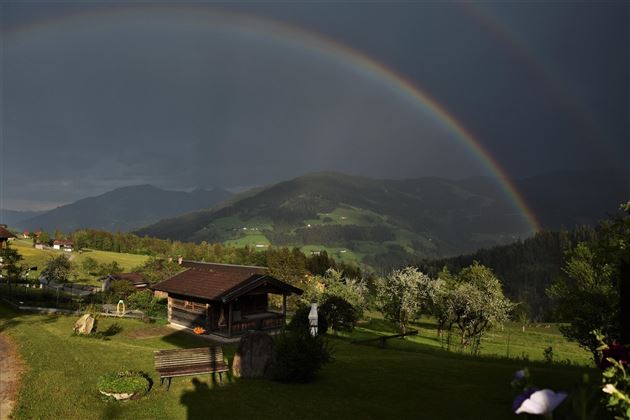 Der Garten mit Grillhütte