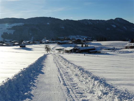 Direkt mit Ski zur Salvistabahn