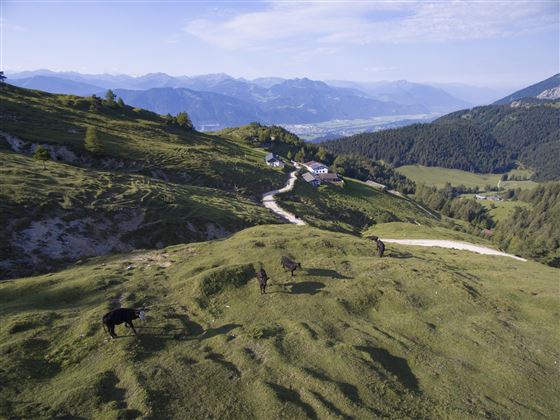 DJI_0152 - Kopie
