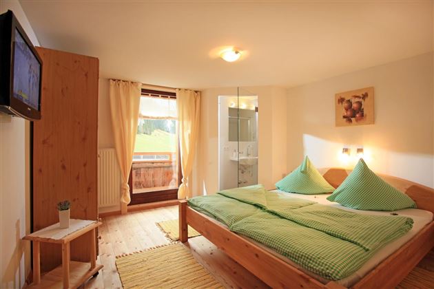 Doppelzimmer mit Dusche/WC und TV- Ferienwohnung 2