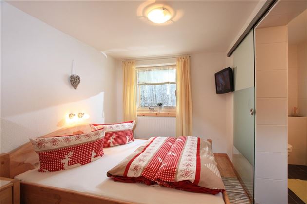 Doppelzimmer mit Dusche/WC und TV- Ferienwohnung 3