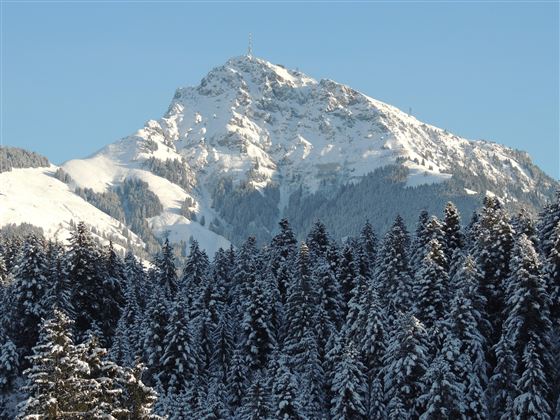 DSCN7189 - Kopie