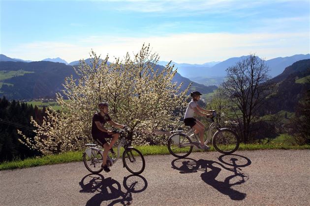 EBike