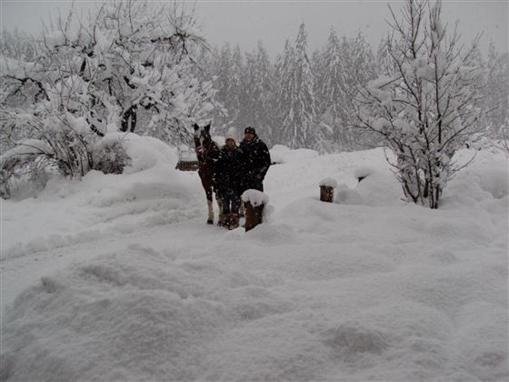 ein Winter wie im Bilderbuch