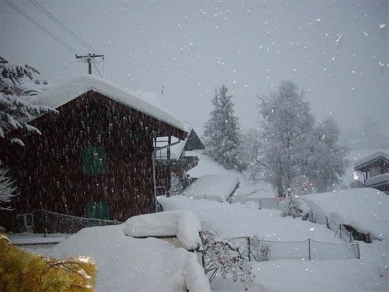 Ein Wintertraum!