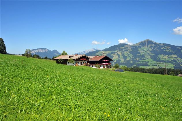 Entalhof-Sommer-Header