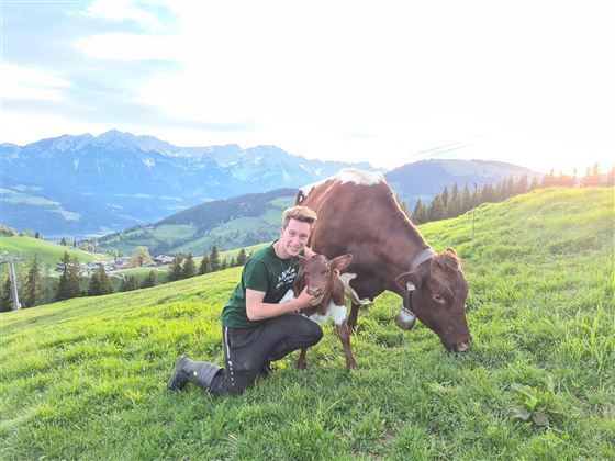 Feldgeburt auf unserer Alm