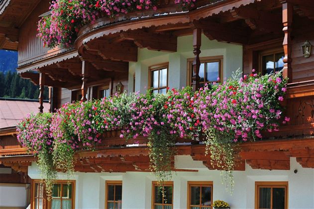 Ferienhaus Krall Sommer