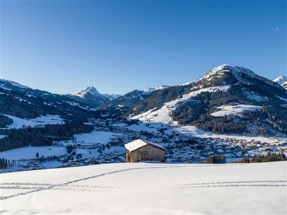 Ferienhaus_Walden_Vorderer_Sonnberg_54_Kirchberg_0
