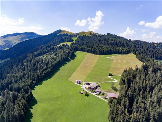Flecklhof_Flecklweg_25_Hopfgarten_08_2020_Haus_aus