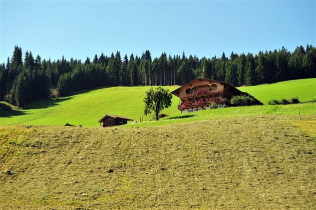 Flecklhof-Sommer-Header