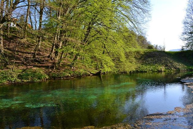 Frühling Blaue Quelle