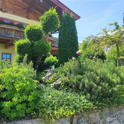 Garten-2