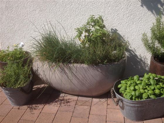 Garten