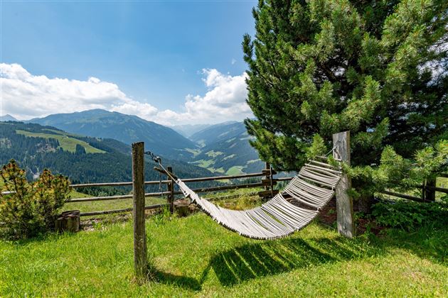 Garten Ausblick Sommer