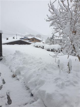Garten Winteransicht