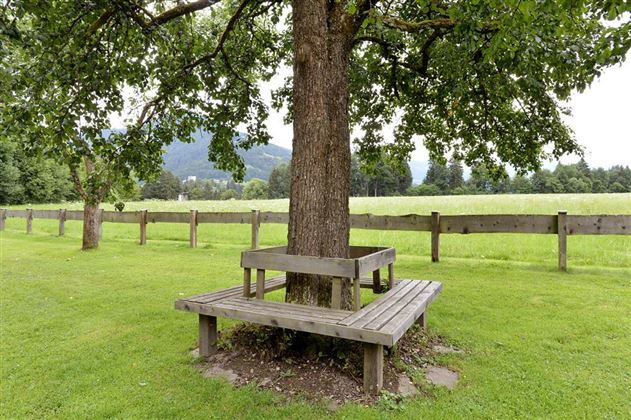Gartenanlage