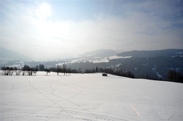 Gugghof_Ager_Johann_header