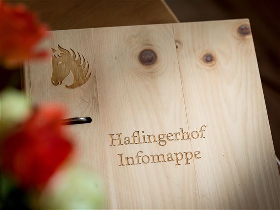 Haflingerhof_Dorfstrasse_54_Westendorf_07_2022_App