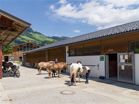 Haflingerhof_Dorfstrasse_54_Westendorf_07_2022_Pfe