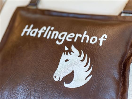 Haflingerhof_Dorfstrasse_54_Westendorf_07_2022_Ruh
