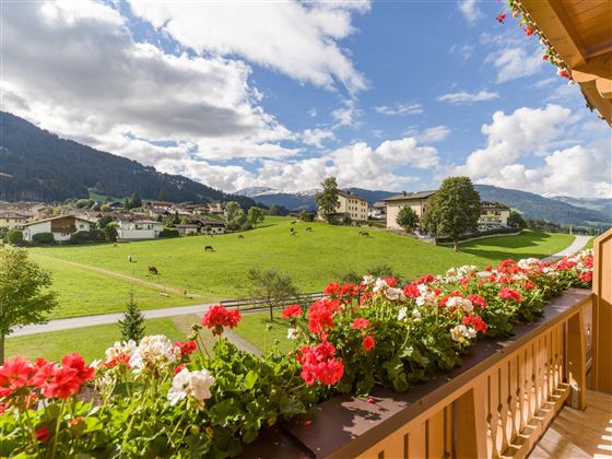Haflingerhof_Dorfstrrasse_54_Westendorf_09_2022_Ap