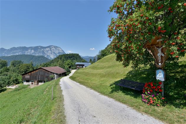Hattenhof Schwoich Ansicht