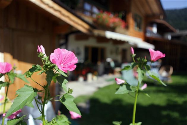 Haus Fuchs Sommer Header