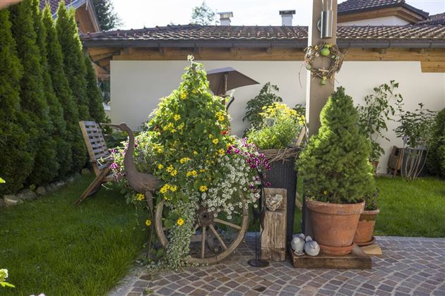Haus Riedmann Blumen