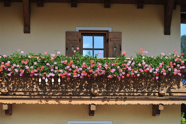 Haus Unterberger Sommer Header
