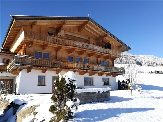 Haus1