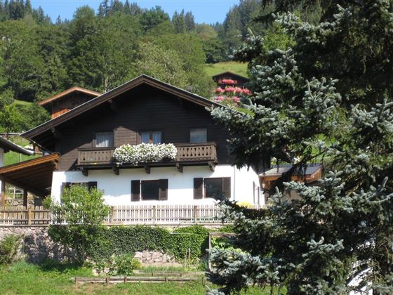 Hausansicht Sommer