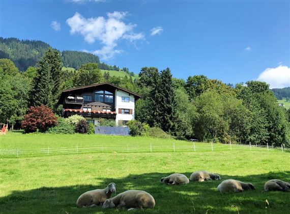 Hausansicht Sommer 1