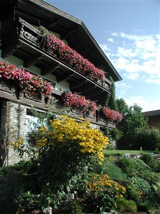 Hausansicht Sommer 3