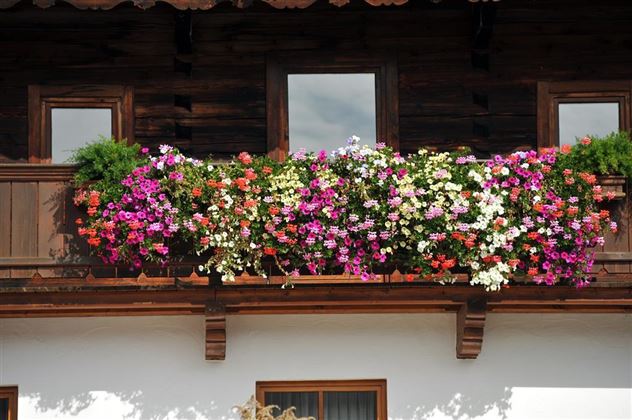 Hausansicht von Vorne Sommer