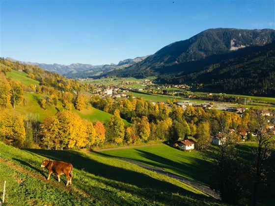 Herbststimmung im Brixental